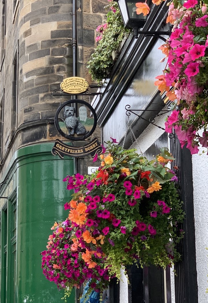 Enseigne de magasin pour Greyfriar's Bobby entourée de fleurs éclatantes.