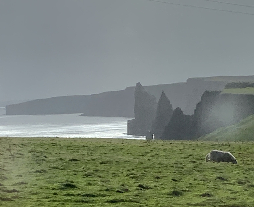 Une vue panoramique sur une falaise avec l'océan et un mouton qui broute.