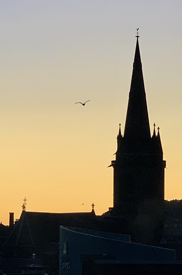 Silhouette d'une tour haute avec une mouette dans le ciel au coucher du soleil.