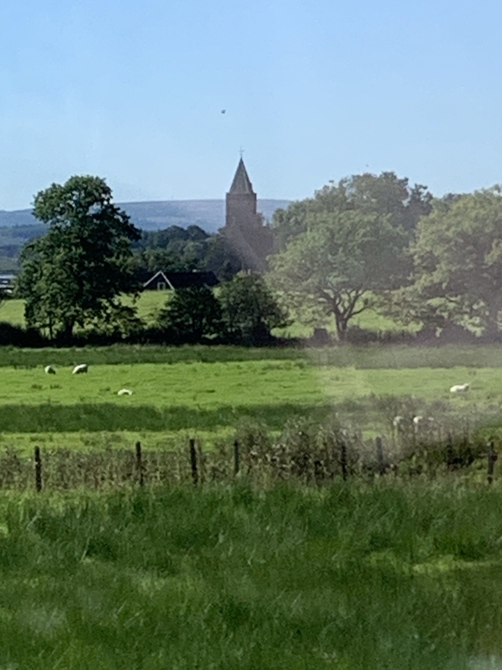 Vue floue d'un champ de campagne avec des moutons qui paissent.