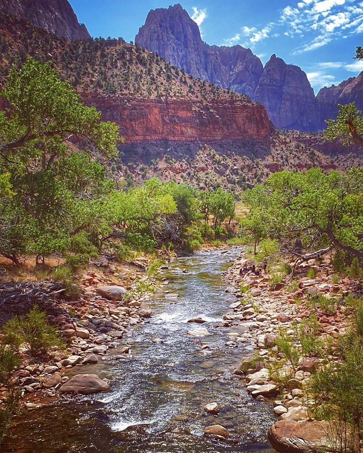 Une petite rivière qui traverse un paysage de canyon avec des arbres.