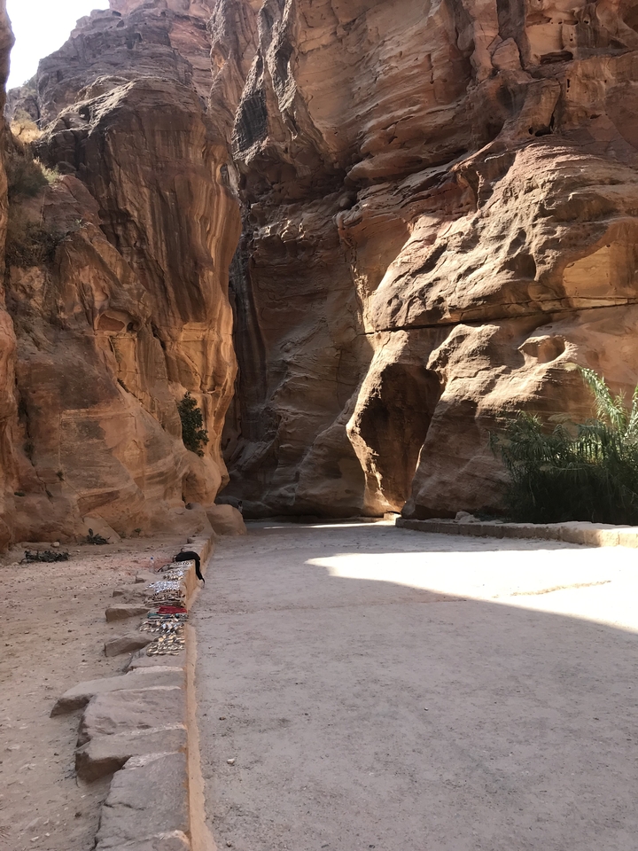 Canyon with rocky walls in a desert area.