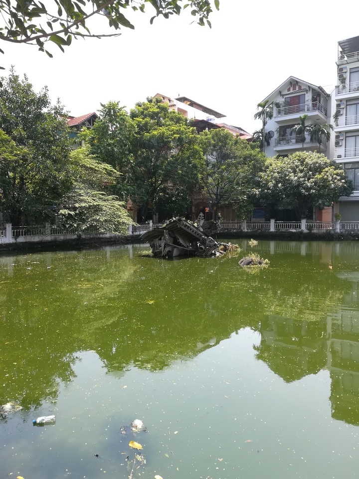 Épave dans un étang entouré de verdure.