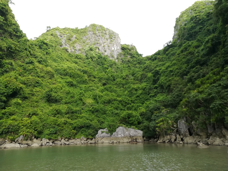 Paysage de montagne verdoyant.