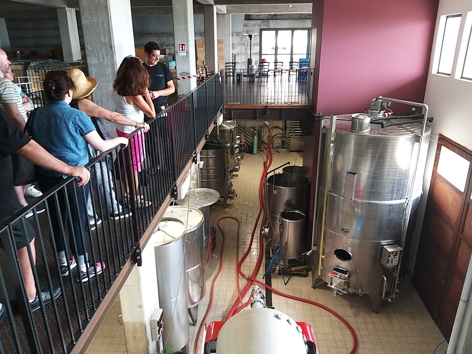 Groupe de personnes observant une grande cave vinicole avec des cuves.