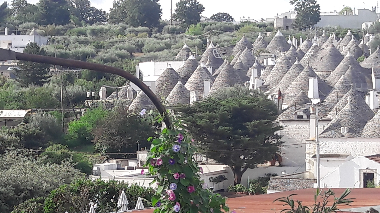 Maisons trulli dans un paysage rural italien.