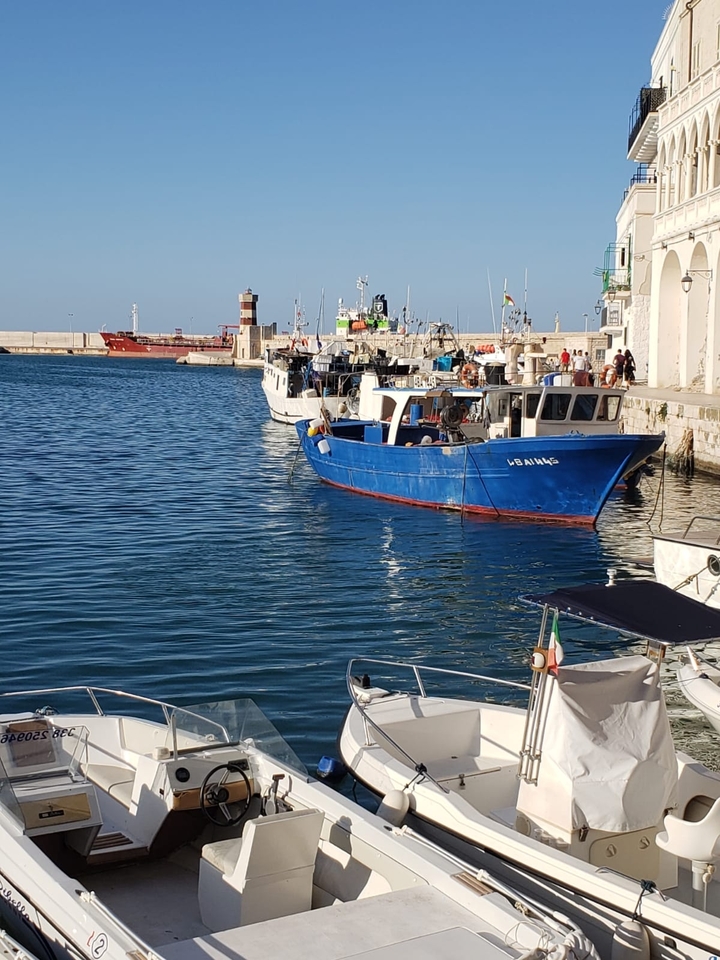 Bateaux de pêche amarrés dans un port.
