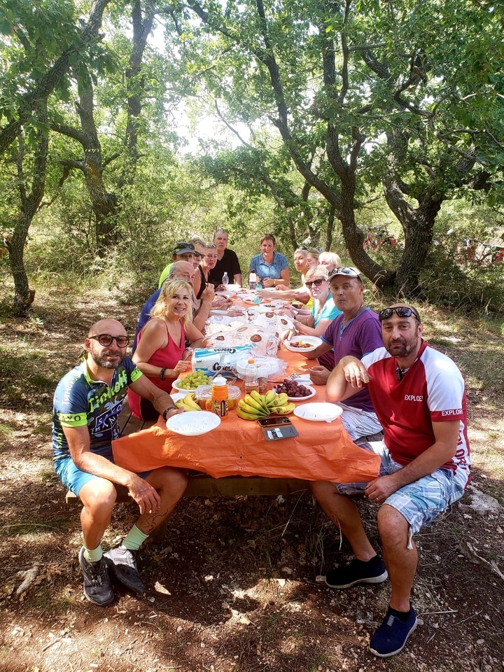 Groupe profitant d'un pique-nique sous les arbres.
