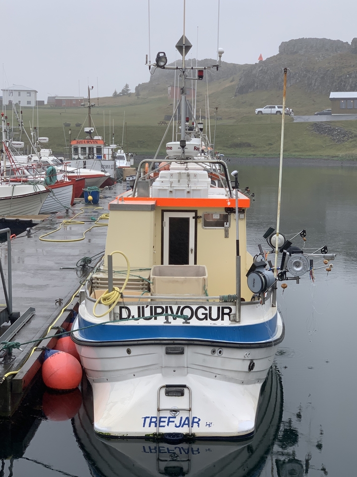 Harbor scene with boats moored, one labeled Djupivogur.