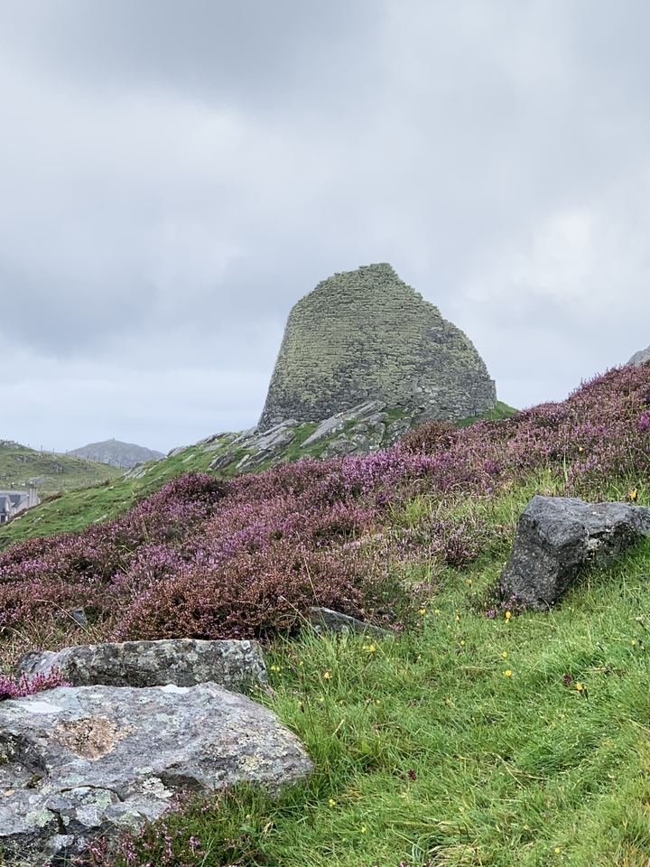 Paysage rocheux avec des fleurs violettes et un bâtiment ancien.