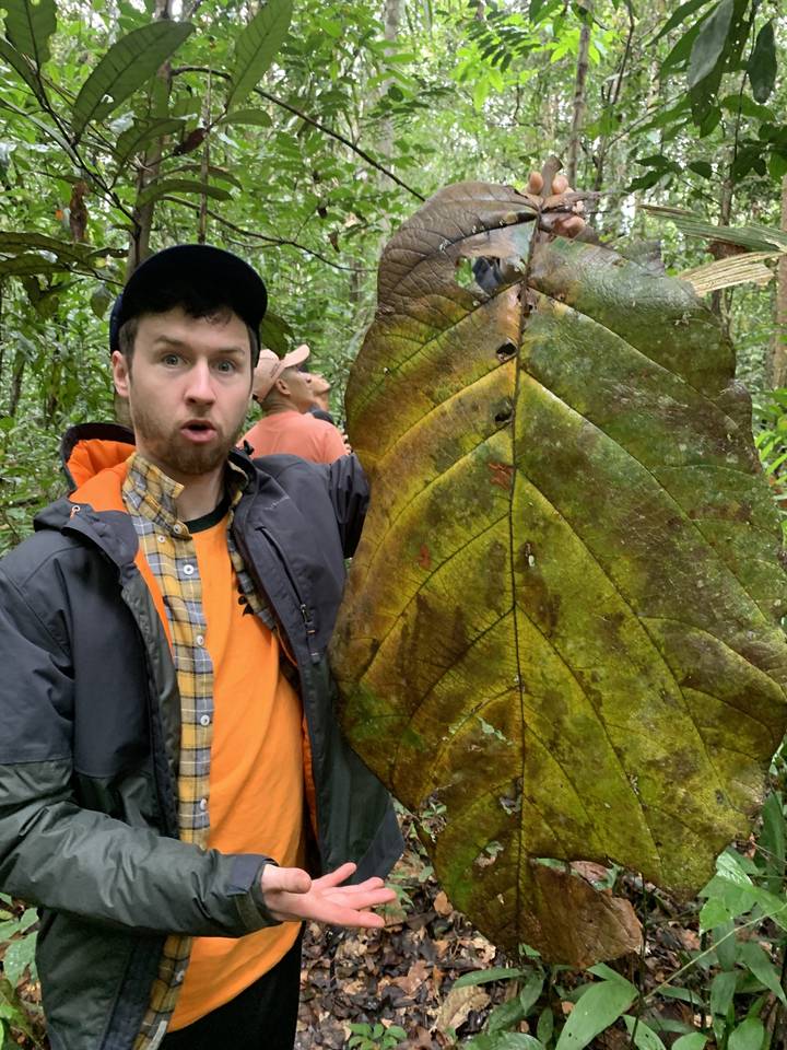 Homme présentant une grande feuille dans une forêt.