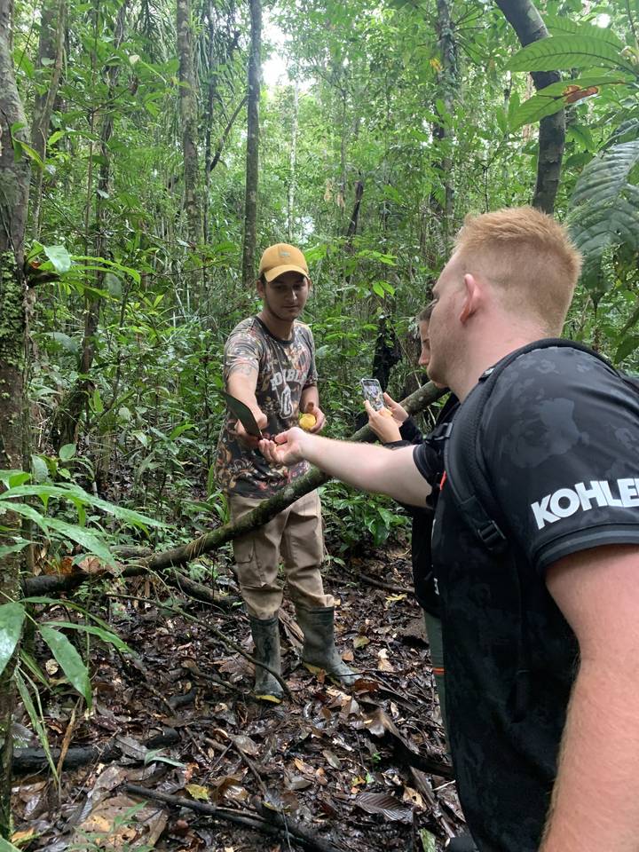 Deux personnes examinant des plantes dans une zone boisée.