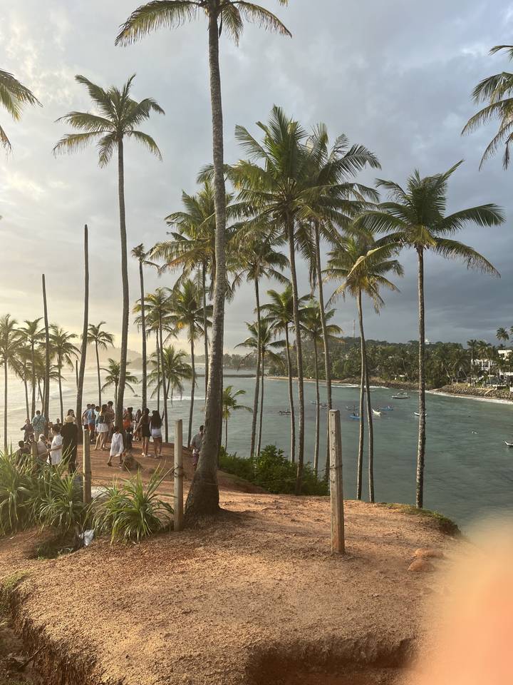 Allée bordée de palmiers surplombant l'océan.