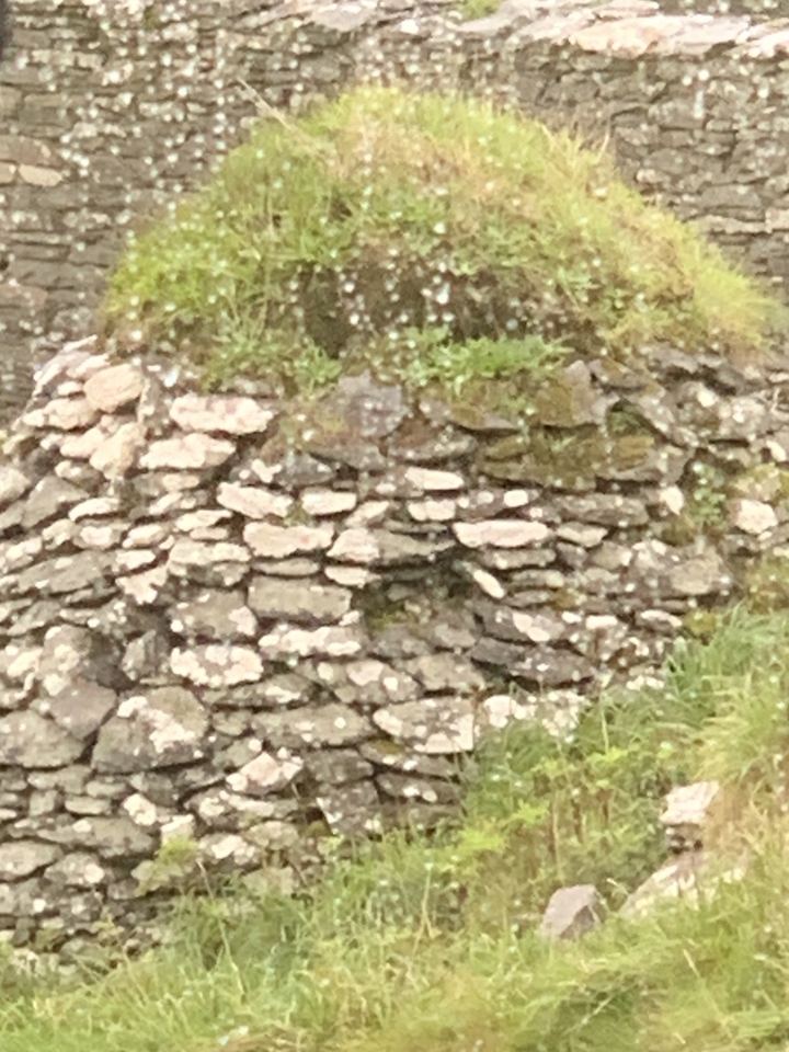 Gros plan d'un mur de pierre flou.