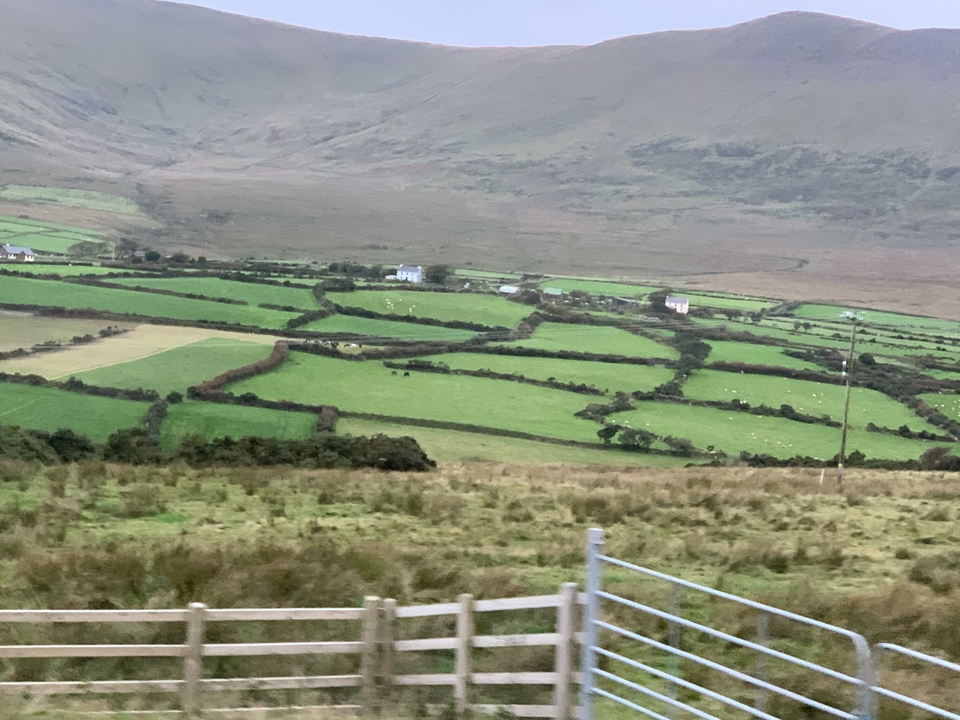 Vue aérienne de champs en patchwork avec une route.