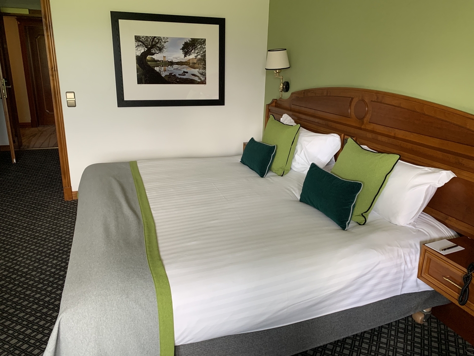 Chambre d'hôtel avec lit double et touches de vert.