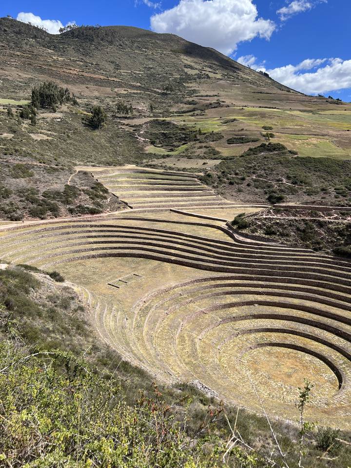 Des champs en terrasses dans une région montagneuse.