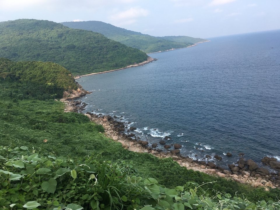 Vue côtière avec une végétation dense et verte et des rives rocheuses