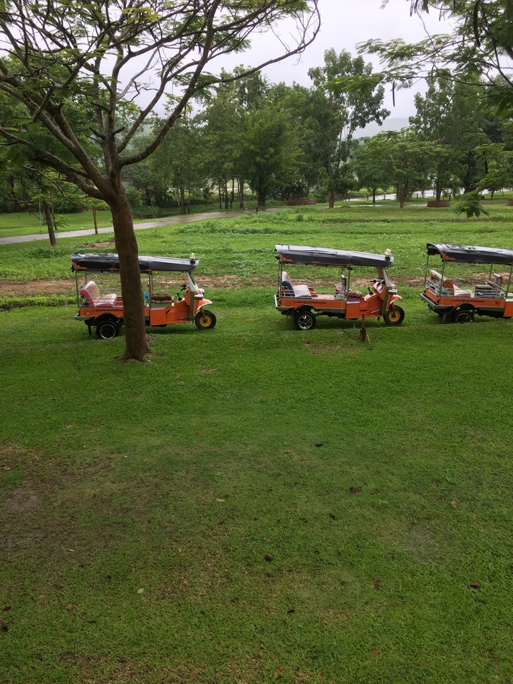 Trois tuk-tuks garés dans un champ vert.