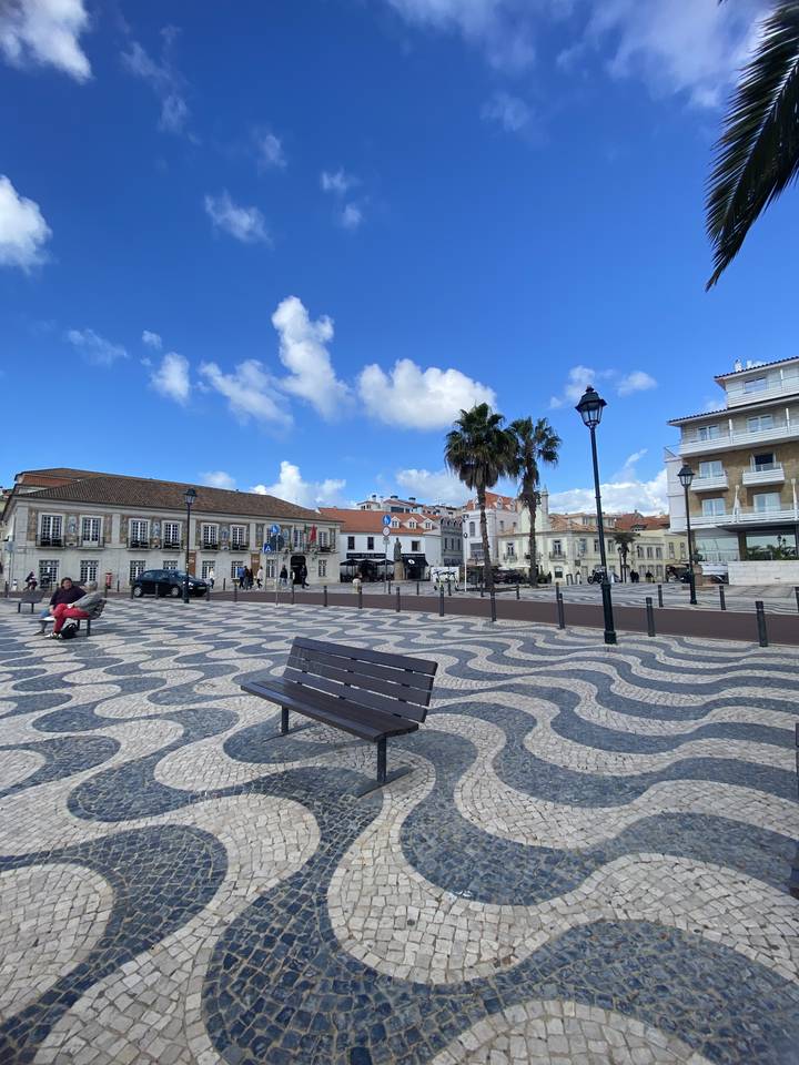 Place de la ville avec un pavage à motifs et des palmiers.