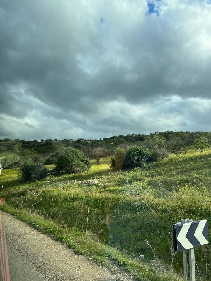 Landscape of green fields under cloudy sky