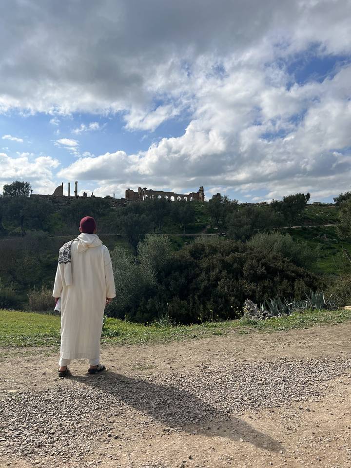 Person overlooking ancient ruins