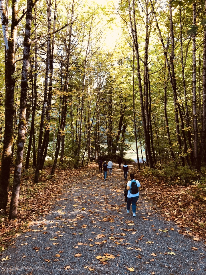 Menschen, die auf einem von Herbstblättern bedeckten Waldweg entlanggehen.
