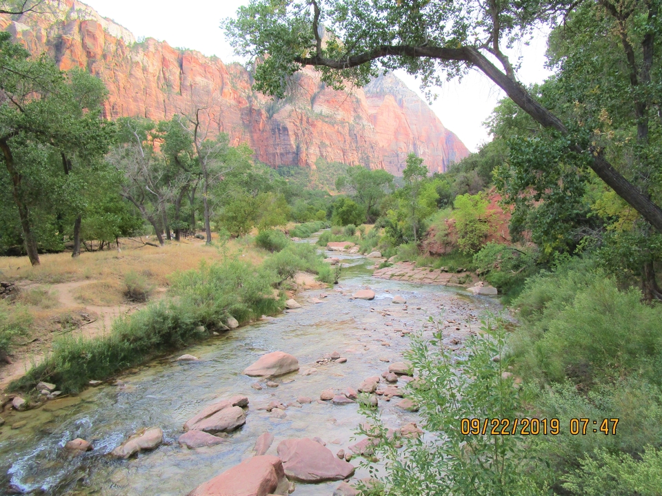 Un ruisseau tranquille coulant à travers une zone boisée avec des falaises de roche rouge en arrière-plan.