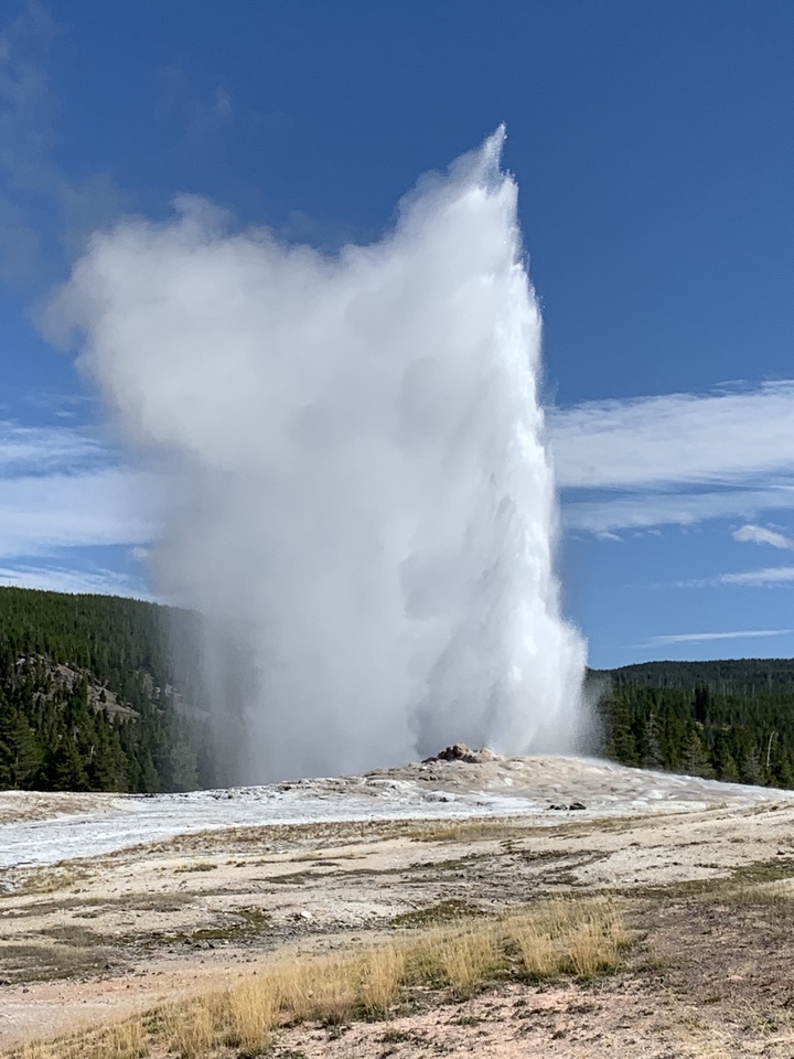 Le geyser Old Faithful en éruption au parc national de Yellowstone.