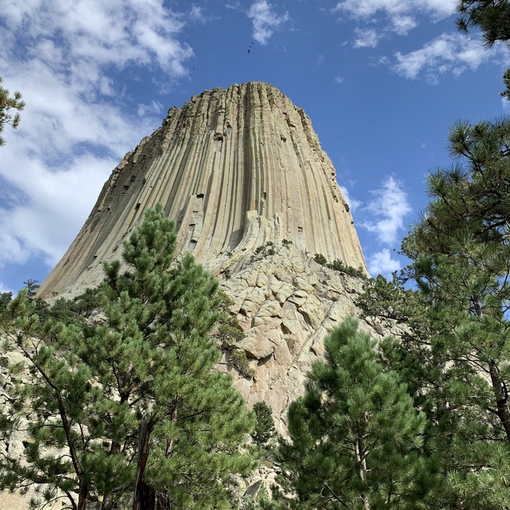 Tour du Diable Monument National avec des arbres autour de la base.