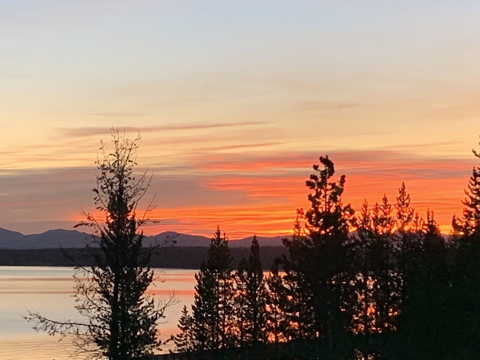 Coucher de soleil sur un lac avec silhouette d'arbres.