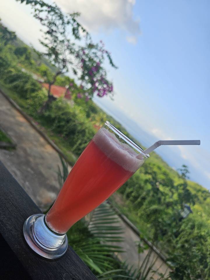 Verre de boisson rouge avec une paille donnant sur de la verdure.