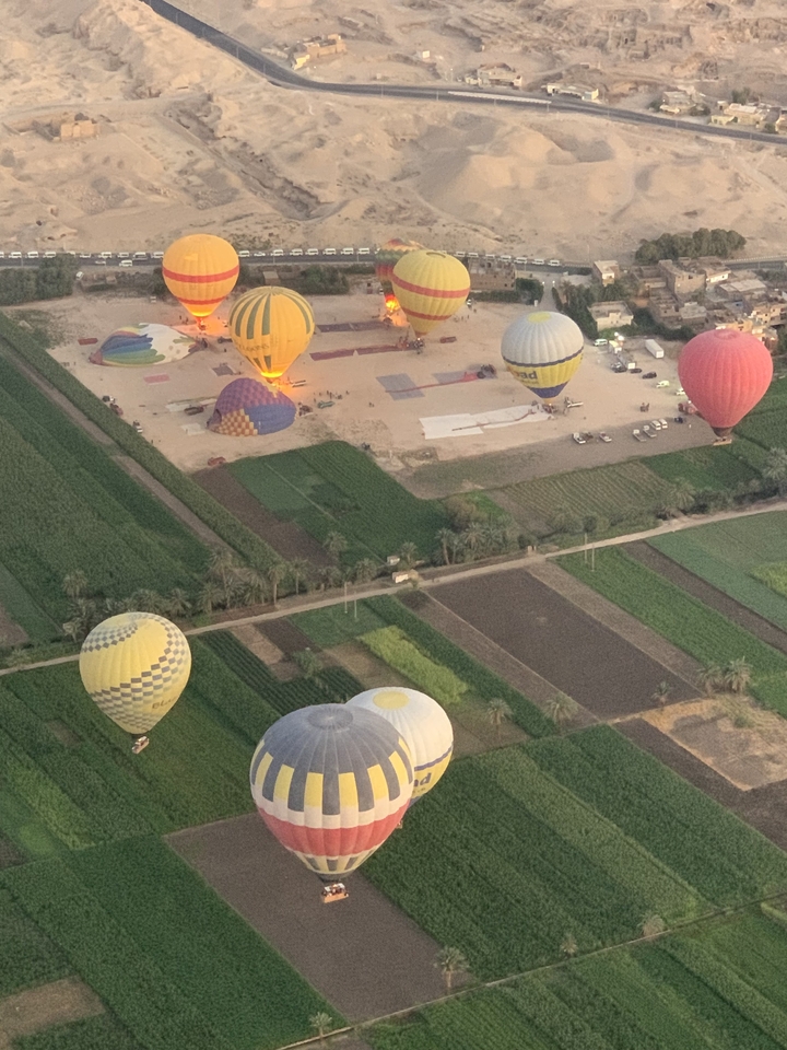 "Montgolfières au-dessus des champs."