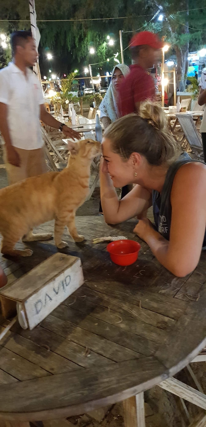 Personne interagissant avec un chat sur une table.