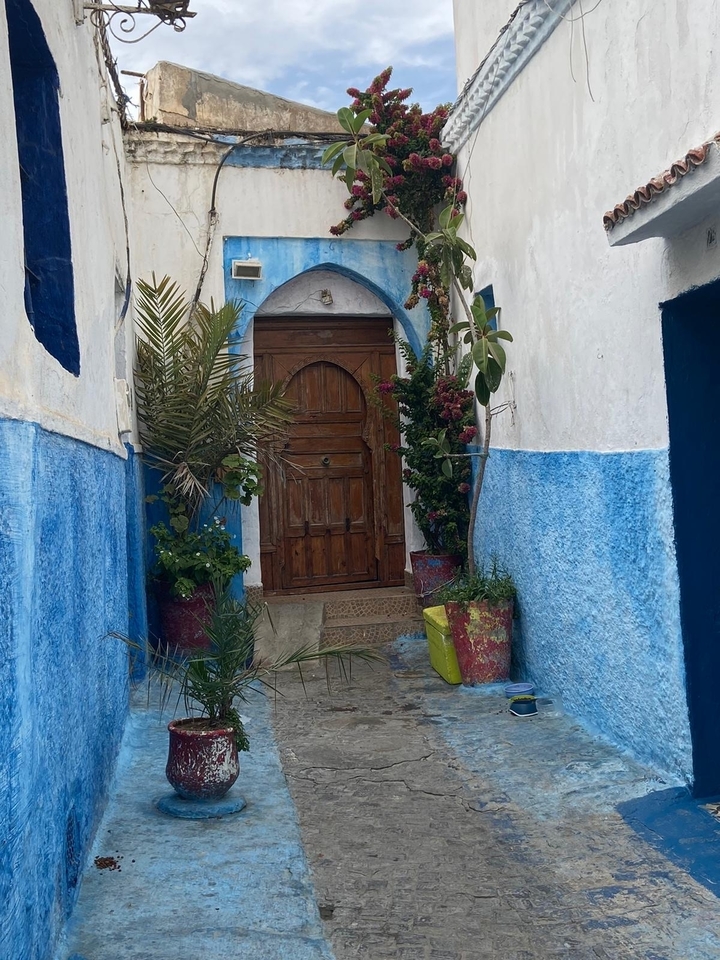 Ruelle colorée avec des plantes et une porte en bois.