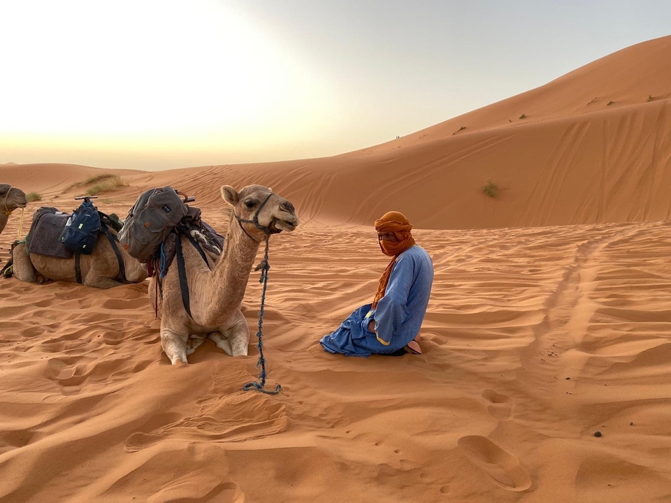 Personne et un chameau se reposant dans les dunes de sable d'un désert.