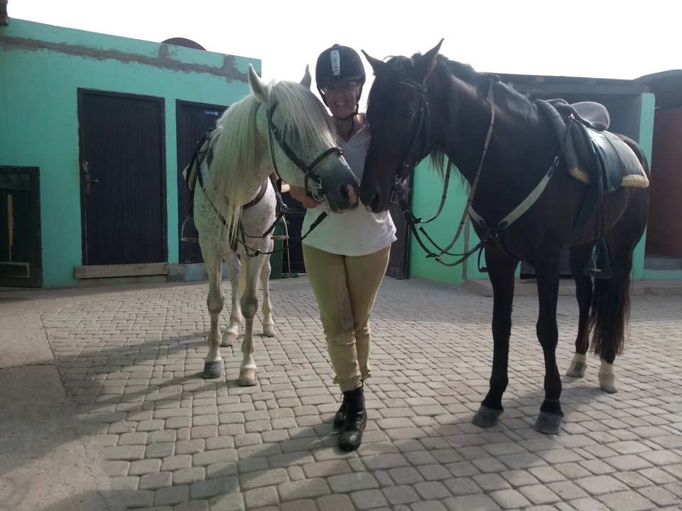Person holding two horses in a stable setting.