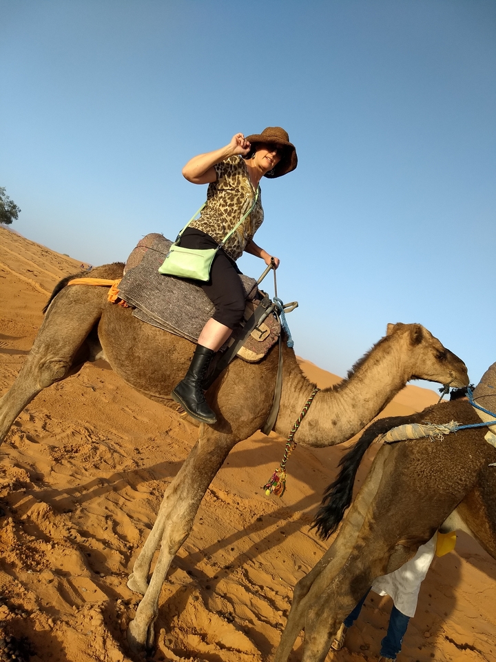 Person riding a camel in the desert.