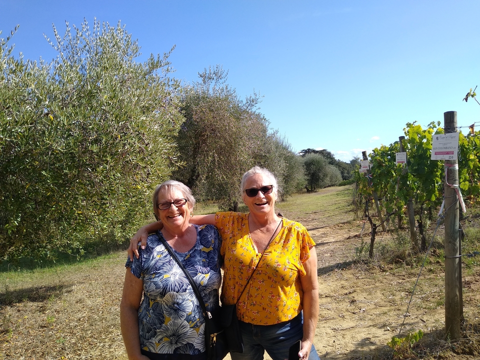 Deux femmes souriantes dans une oliveraie.