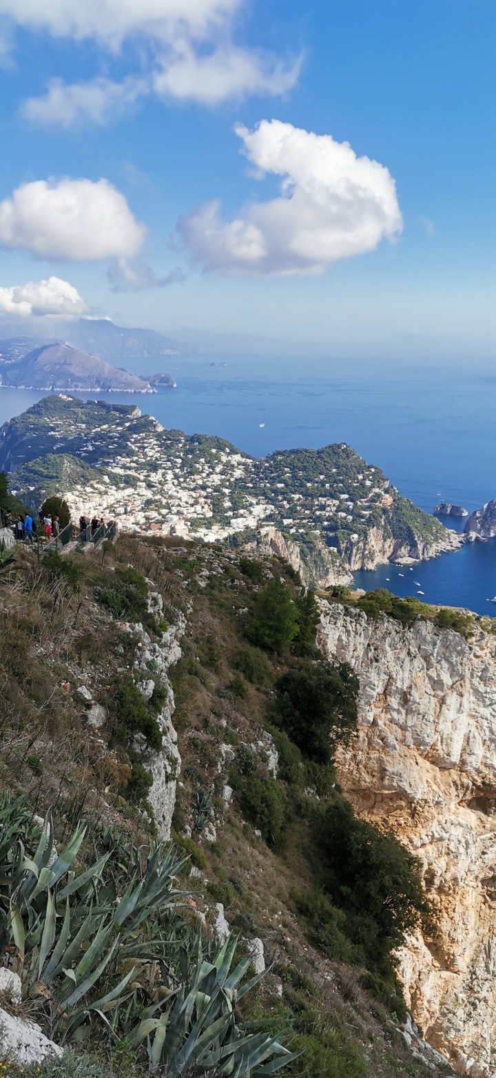 Une vue panoramique présentant le littoral et le quartier résidentiel depuis le sommet d'une colline avec des observateurs sur un point de vue