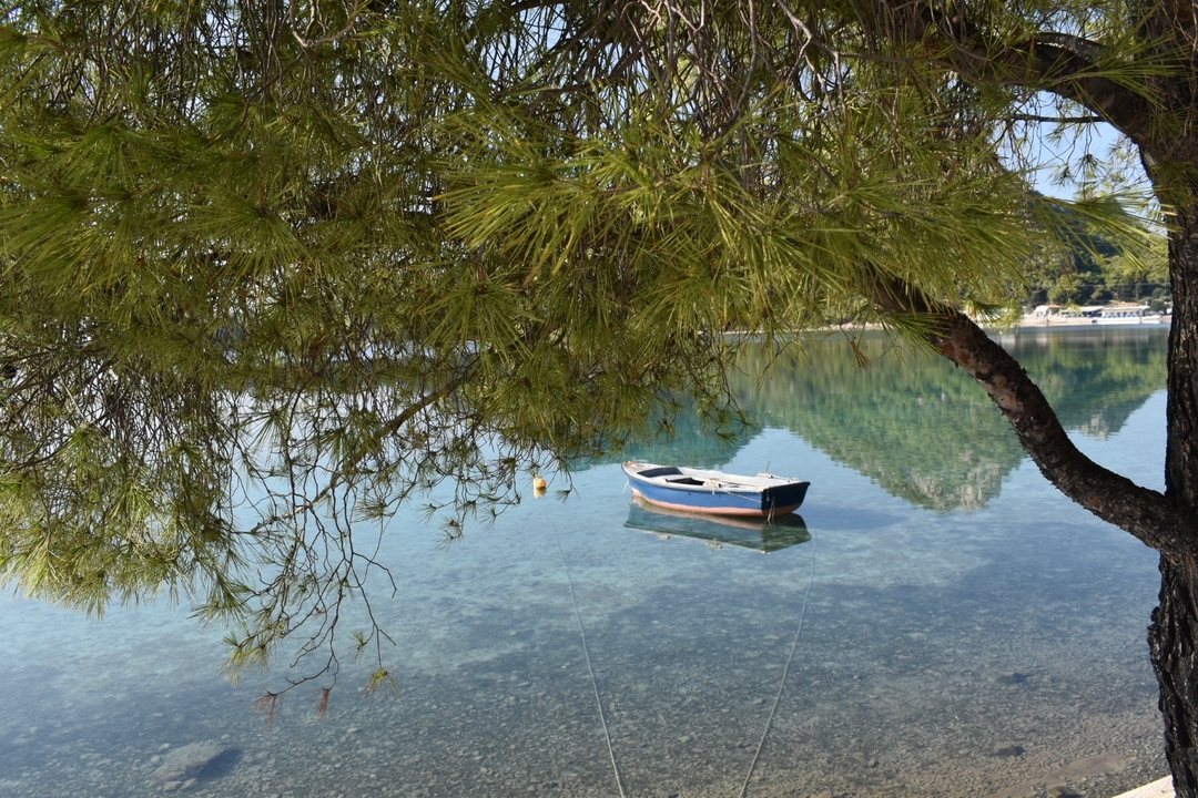 A scenic view of a tree and a boat docked in clear, tranquil waters