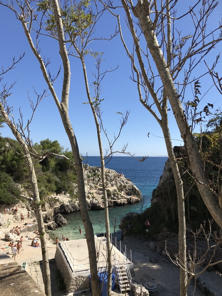Une crique rocheuse avec vue sur la mer à travers des arbres dénudés
