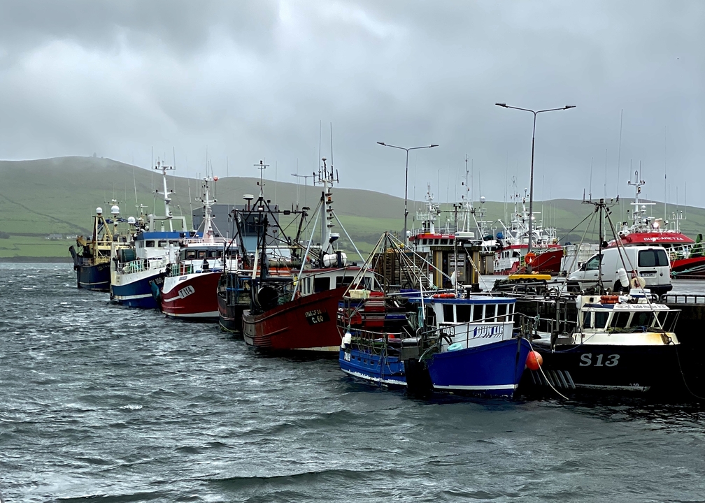 Des bateaux de pêche amarrés dans un port avec des collines en arrière-plan.