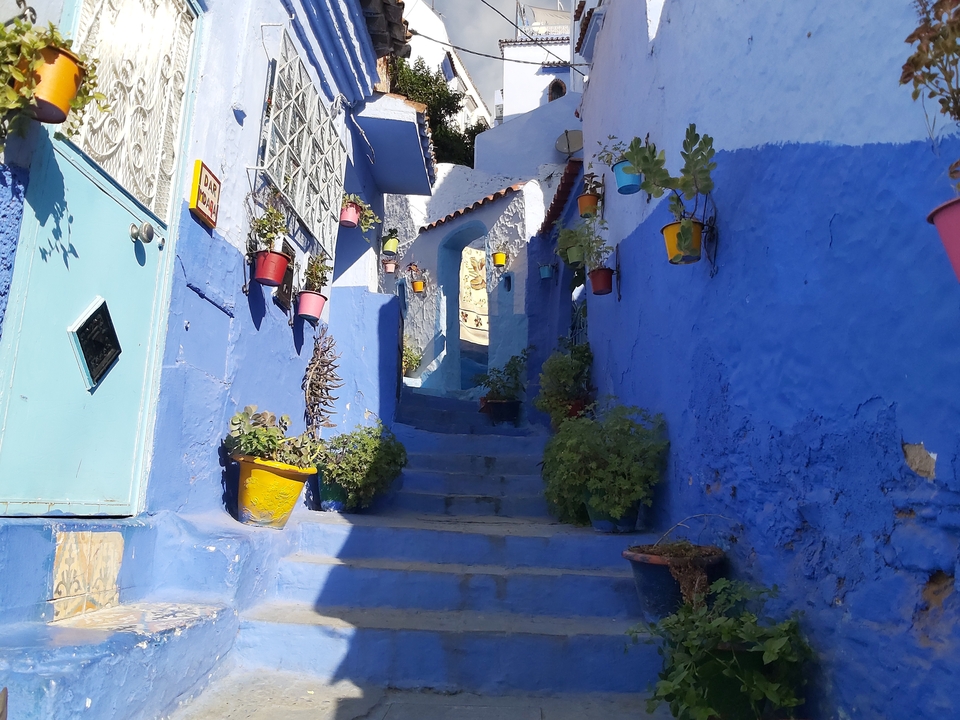 Rue étroite avec des bâtiments peints en bleu et des plantes.