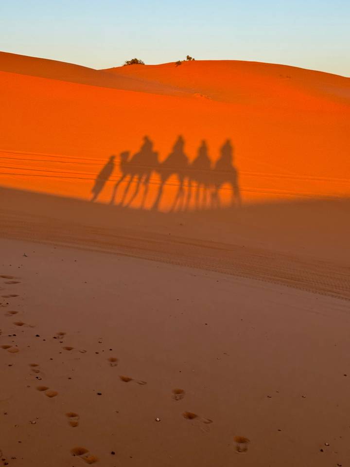 Ombres de chameaux et de personnes projetées sur les dunes dans un paysage désertique.