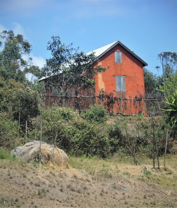 Une petite maison rouge entourée de verdure.