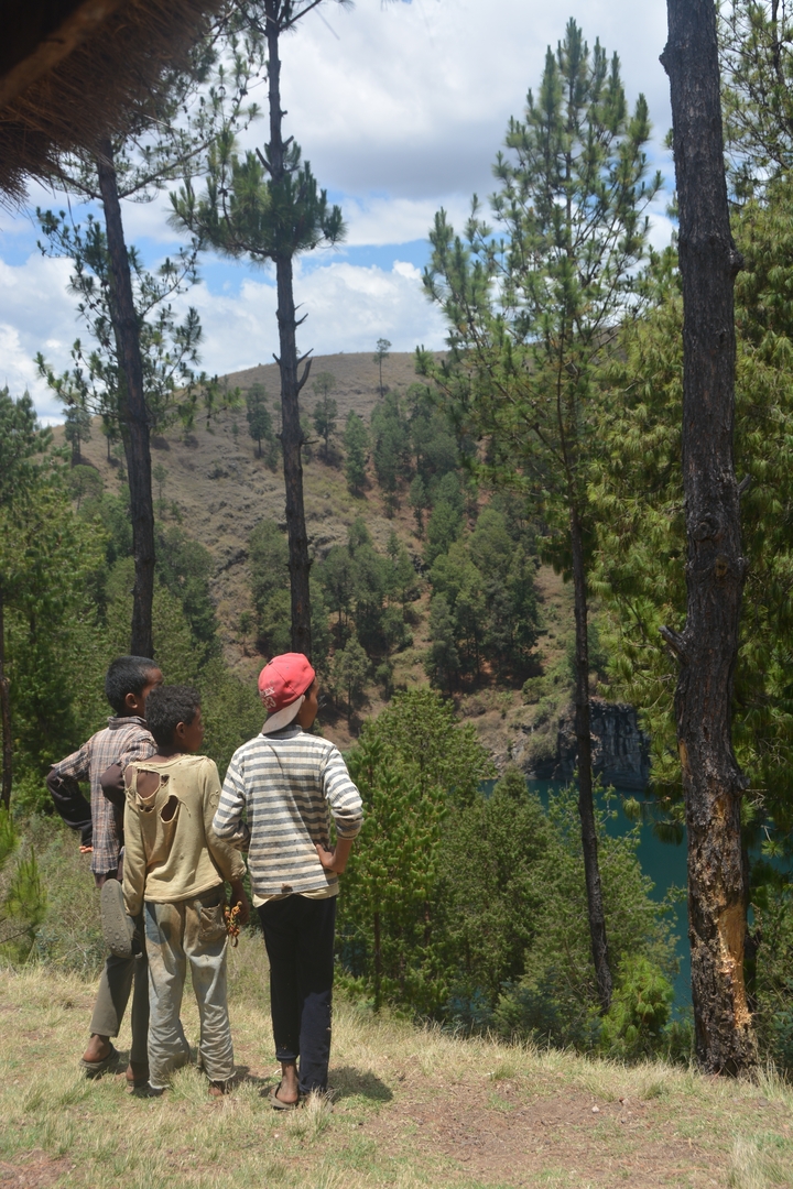 Groupe d'enfants regardant une vue panoramique d'une zone forestière.