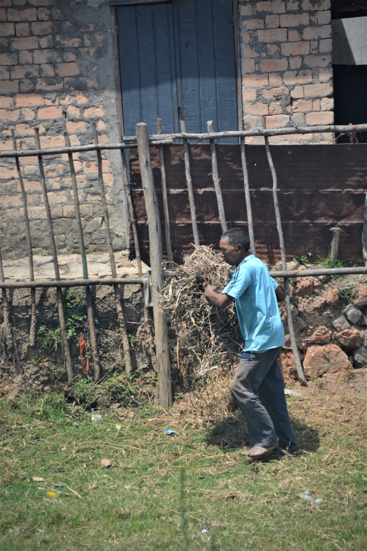 Homme portant un fagot de bâtons contre un mur rugueux.