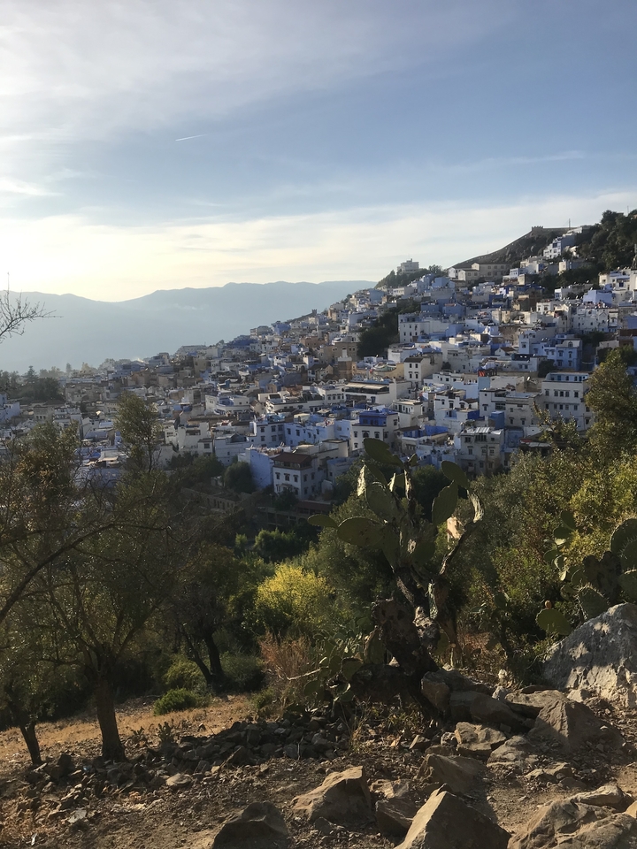 Vue panoramique de Chefchaouen, connue pour ses bâtiments bleus.