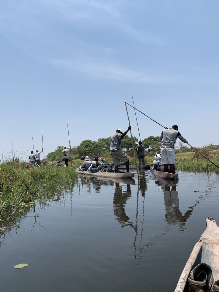 Des gens pagayant en canoë dans un cours d'eau avec de hautes herbes et un ciel bleu.